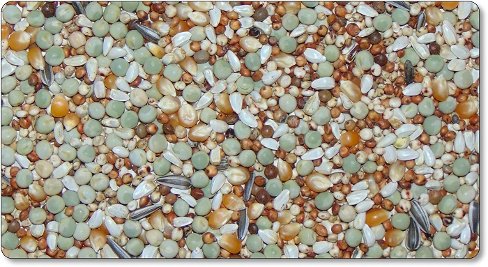 MARKENLOS 25 kg Taubenfutter Spezialmischung ohne Weizen und Gerste