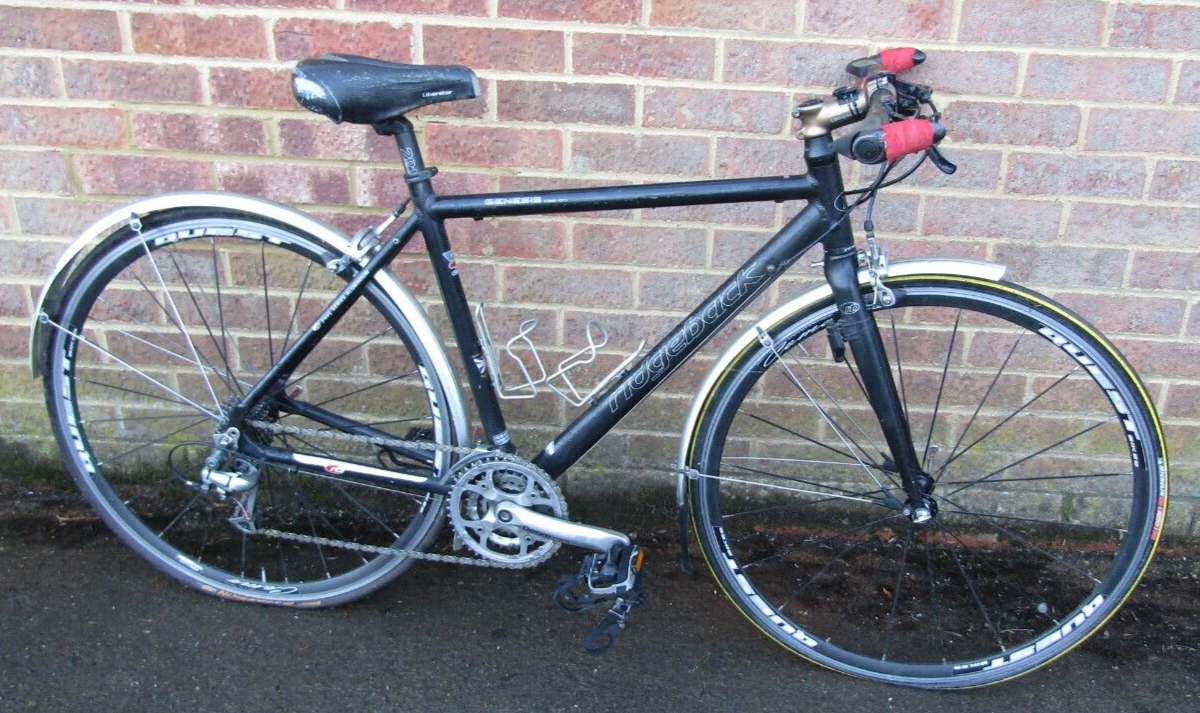 sportster hardtail chopper