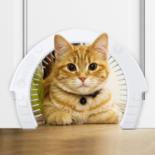 cat door for inside house