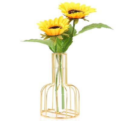 Modern Home Decor Black Glass vase,Iron Art Vase,Test Tube Vase for Hydroponi...