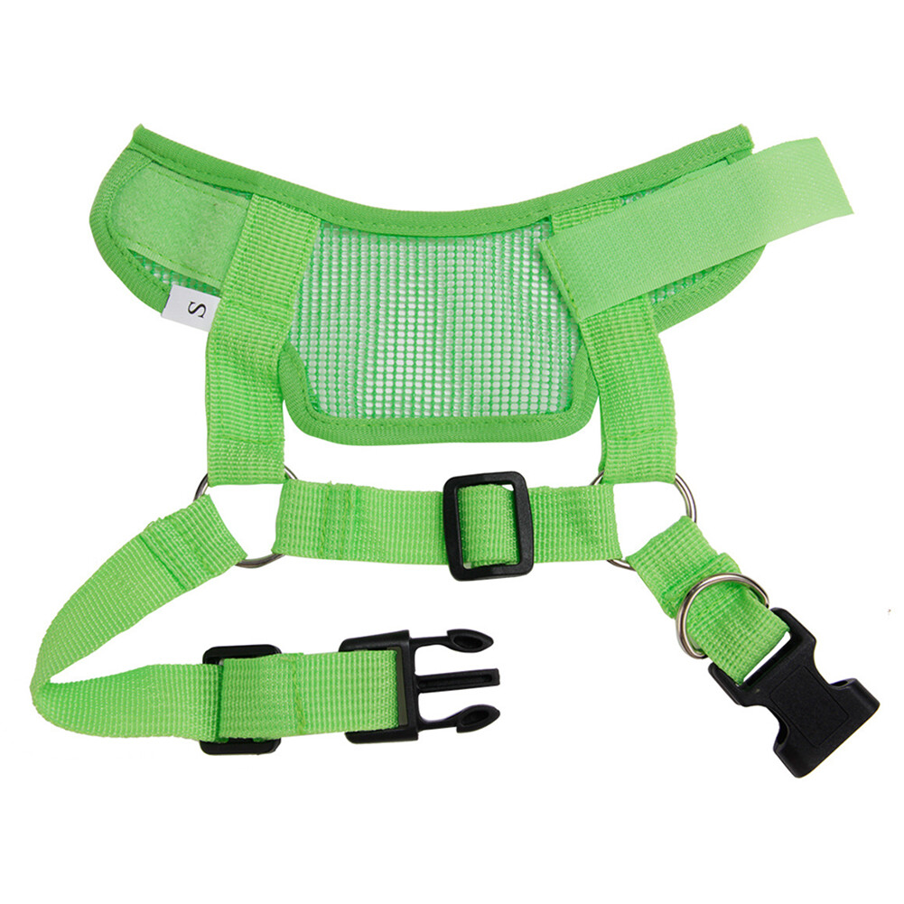 Dog Mouth Guard Nonirritation Wear Resistant Quick Release Pet Dog