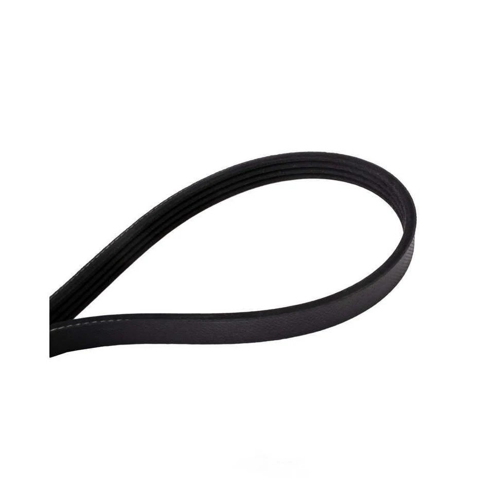 Cinturón Serpentine-Multi-V Continental Elite 4040347 Foto 2 de 3