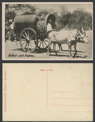 Indien alte Echt Foto AK Madras Ochsenwagen Einheimische Fahrer Männer, Ochsen Rinder