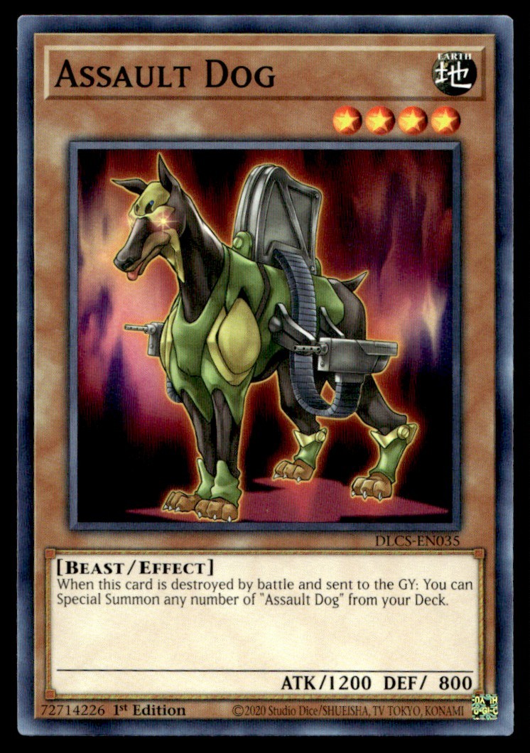Assault Dog - DLCS-EN035 - 1st Edition - YuGiOh | Buy 3 Get 5 Free