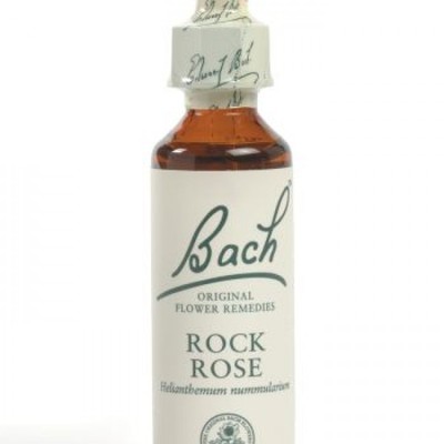 BACH FLOWER REMEDY 10ML // ALL 38 AVAILABLE // ORIGINAL FORMULAS + FREE SHIPPING
