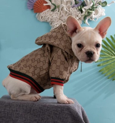 Dog Hoodie Luxury Design Clothes Winter Jacket Classic Designer Medium Dog  Coats | eBay