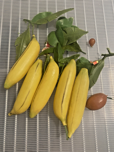 MCM Vintage FRUIT lot Grape Bananas Pineapple Apple Rubber Plastic Leaves - Picture 17 of 20
