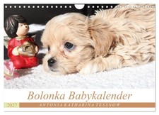 Calendar 2027 US Version Bolonka baby calendar 2027 Wall Calendar 2027 12"