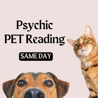 Psychic Pet Reading, Your Pet s Thoughts, Animal Communicator