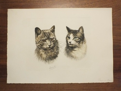 Danet - Eau forte ou Lithographie signée - Zouzou et Nono Chats - Imagen 2 de 4