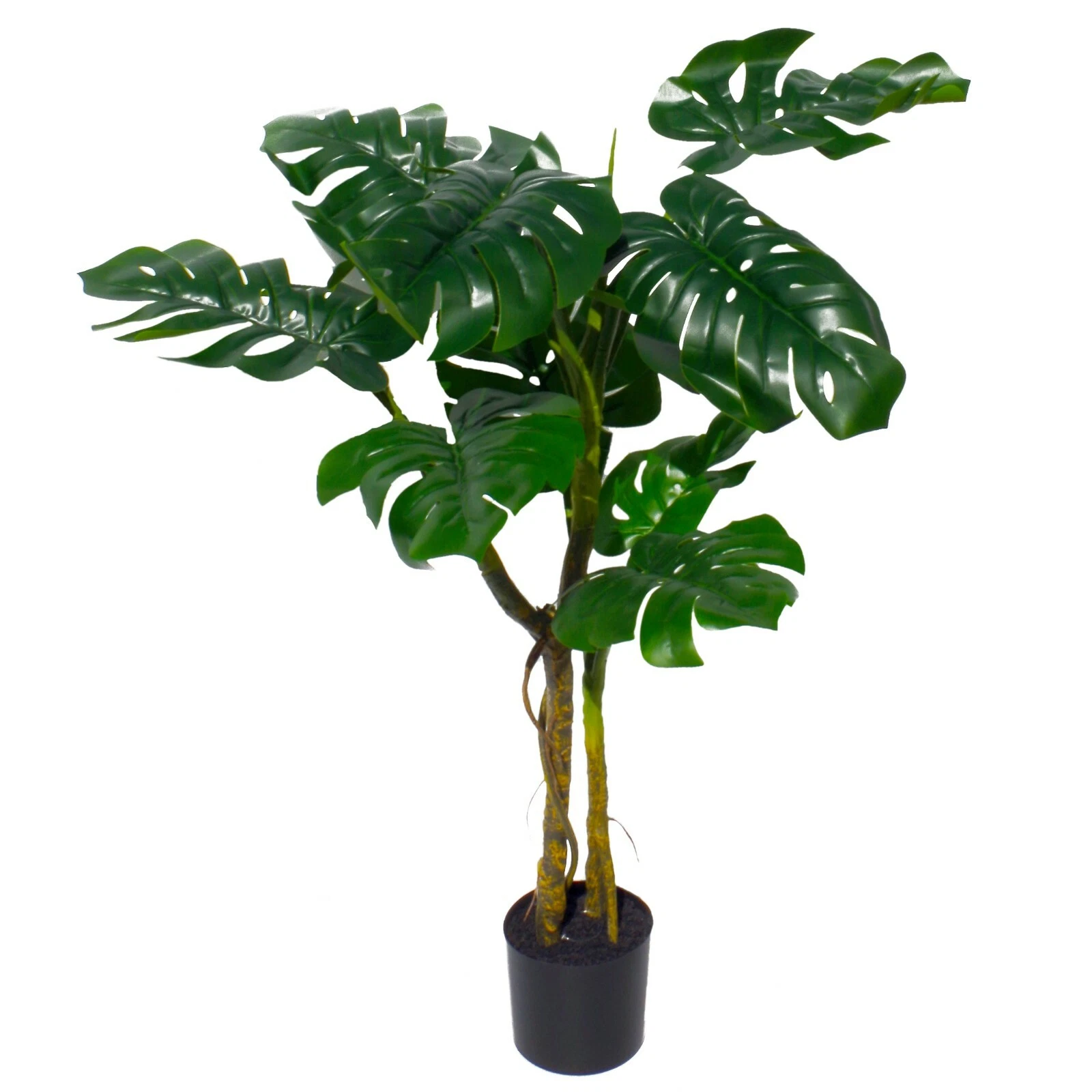 120cm Twisted Monstera - 7543