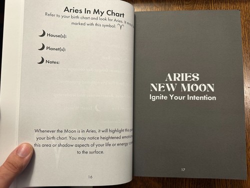 The Moon Rituals by Sara Walka 2024 PB MAGIC ASTROLOGY METAPHYSICS WITCHCRAFT - Picture 7 of 8