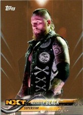  Aleister Black 2018 Topps WWE NXT BRONZE #5