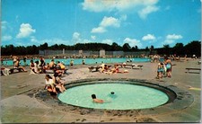 Altmont New York Sun New Pool John Boyd Thacher State Park Unposted Vtg Postcard
