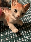 Foto 12 di 21