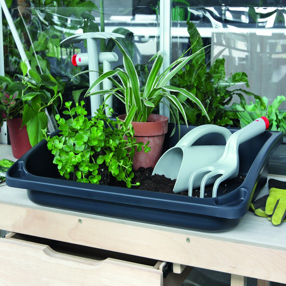Bonsai Erde Pflanzschaufeln Kunststoff Garten Werkzeug