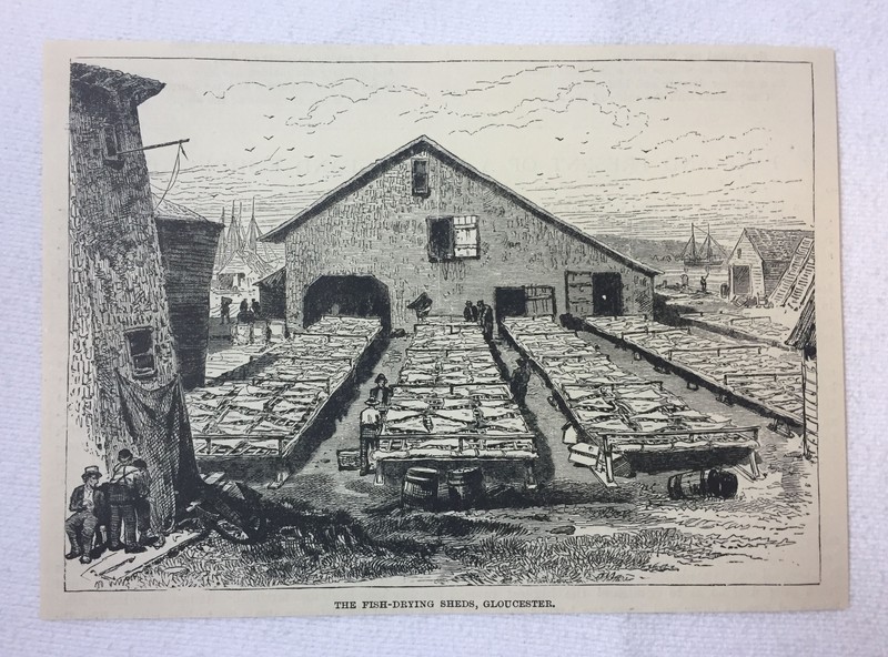 1886 magazine engraving ~ FISH DRYING SHED Gloucester, Massachusetts