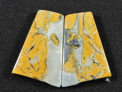 21Cts. Natürlicher Maligano-Jaspis (je 15 mm x 22 mm) Fancy Cabochon Match Paar