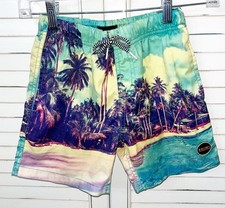 Boys Swim Trunks Blue Palm Trees Tropical Size 8