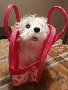 purse puppy