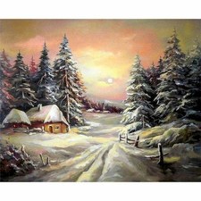 Paint By Numbers Adults kids Sunset Snow Scenery DIY Painting Kit 40x50CM Canvas
