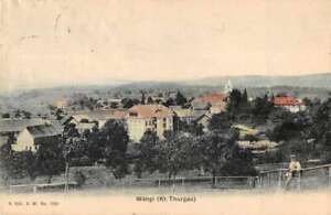 Wangi Switzerland Thurgau Birds Eye View Vintage Postcard 