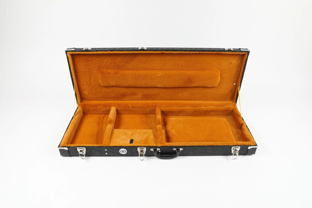 Paisley 2024 guitar case