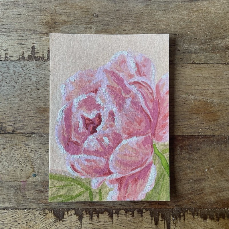 ACEO original gouache painting, Rose,  Brandy Rustemeyer