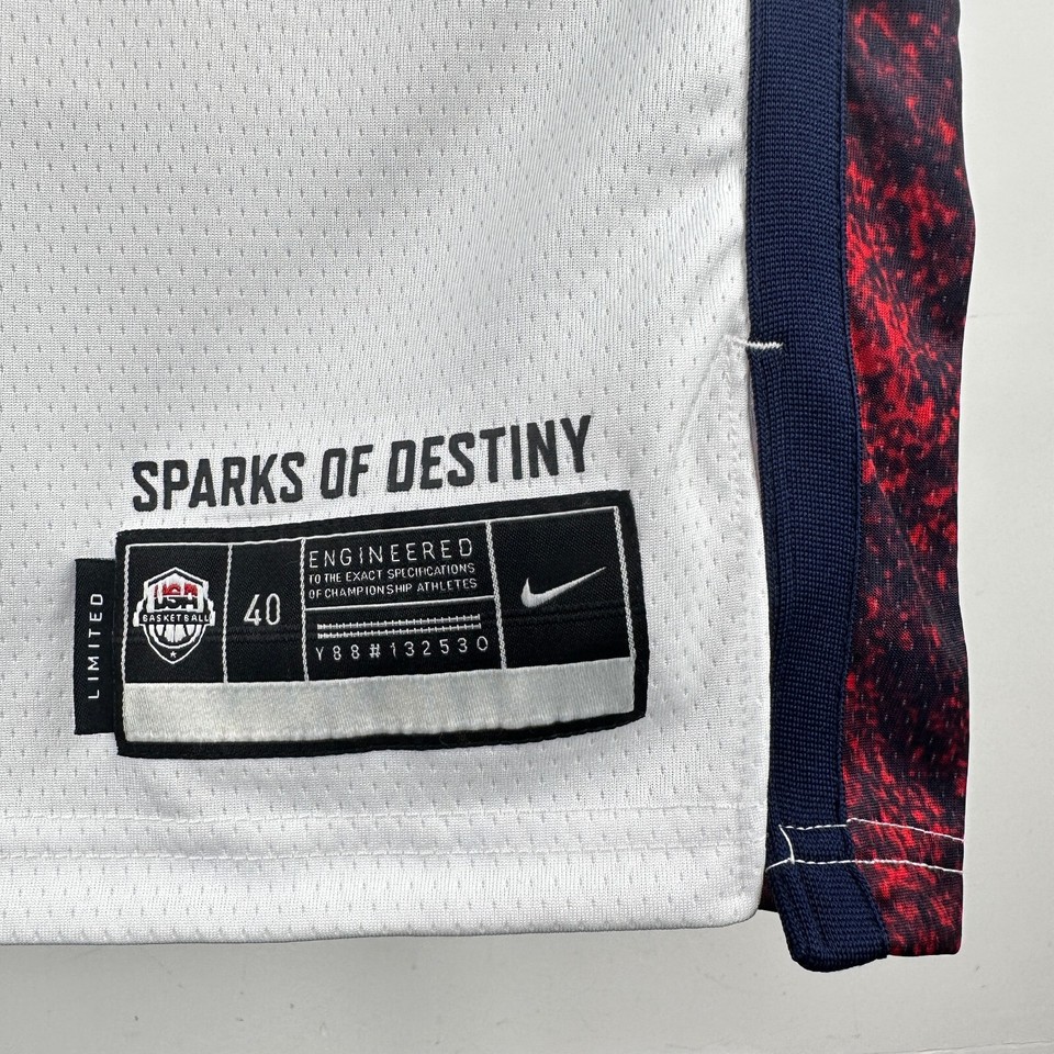 LeBron James Nike USA Basketball Swingman Jersey Paris Olympics 2025