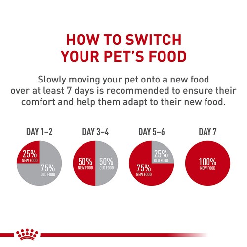 Royal Canin Chihuahua Adult Dry Dog Food 10 Pound Pack Specialized Nutrition - Picture 7 of 10