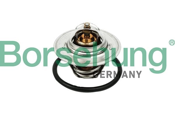Fits BORSEHUNG B13140 THERMOSTAT CARTRIDGE 87-102C