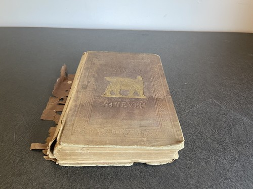 Austen Henry Layard - Nineveh and its Remains Vol 2 1849 Antique - Damaged Spine - Picture 10 of 15