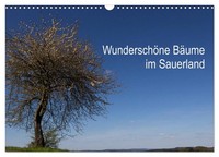 Calendar 2027 · US Version · Beautiful Trees In Sauerland (Wall Calendar 2027 17