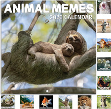 2026 Wall Calendar - 2026 Calendar Funny with Animal Memes, Jan. 2026 - Dec. 202
