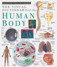 The Human Body (DK Visual Dictionaries) von Dorling Kind... | Buch | Zustand gut