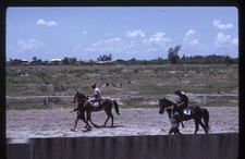 SL22 Slide 1960&rsquo;s  Horseback Riders in Rural Landscape 353a