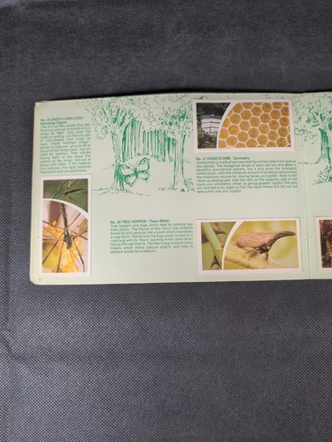 Tarjetas de té Brooke Bond: álbum Small Wonders completo con todas las tarjetas del conjunto - Imagen 11 de 20