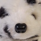 Foto 3 di 10