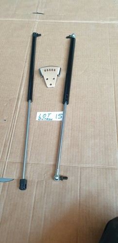 Lotto 15. Molla a gas fitness ottano x2