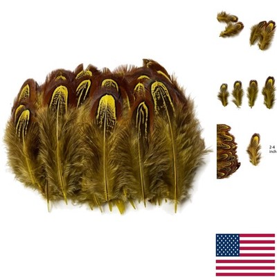Versatile 50 Pcs Yellow Natural Pheasant Feathers 2-3 Inches - Craft Essentials