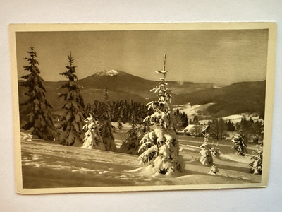 Bayrischer Wald Historische Ansichtskarte. Los 10439