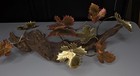 Bild 4 von 8