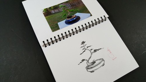 100% Original print sketch pencil drawing Bonsai tree Juniper by OK artist KONG2 - Picture 12 of 12
