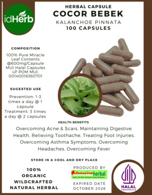 [idHerb] 100-1000 CAPSULES COCOR BEBEK Kalanchoe Pinnata NATURAL HERBAL