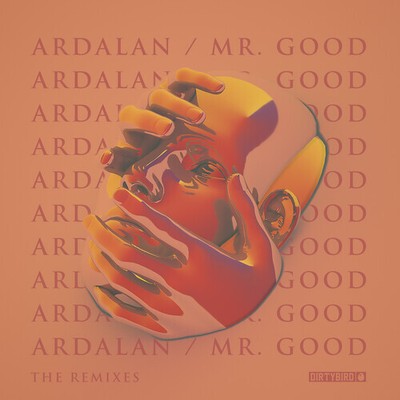 Ardalan - Mr. Good - The Remixes [New 12'' Vinyl]