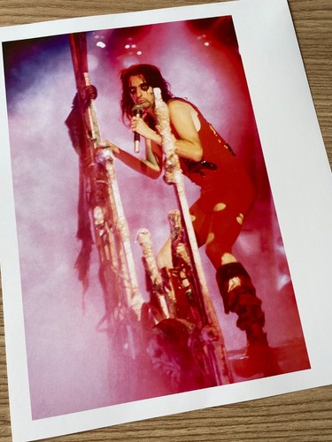 Alice Cooper Musiker & Salvadore Dali Künstler 2 Szenenbuch Fotografie - Bild 2 von 2