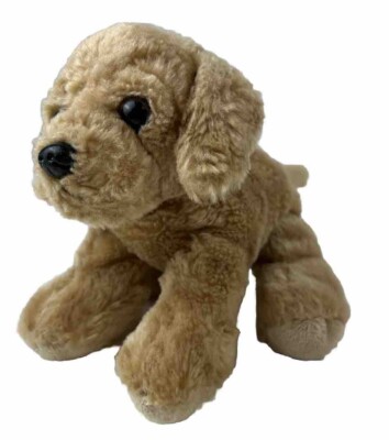 Auroara Co Dog Training Solihull Aurora Small Plush Golden Retriever  Labrador Puppy Dog Stuffed
