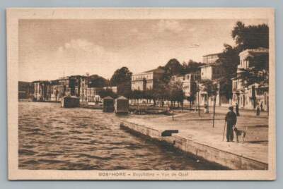 Quai ~ Buyukdere CONSTANTINOPLE Antique Istanbul Bosphore Postcard Dog 1910s