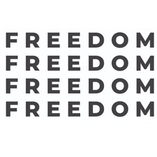 Freedom Sticker Charlie Kirk True American Hero Patriotism Die Cut Vinyl Decal