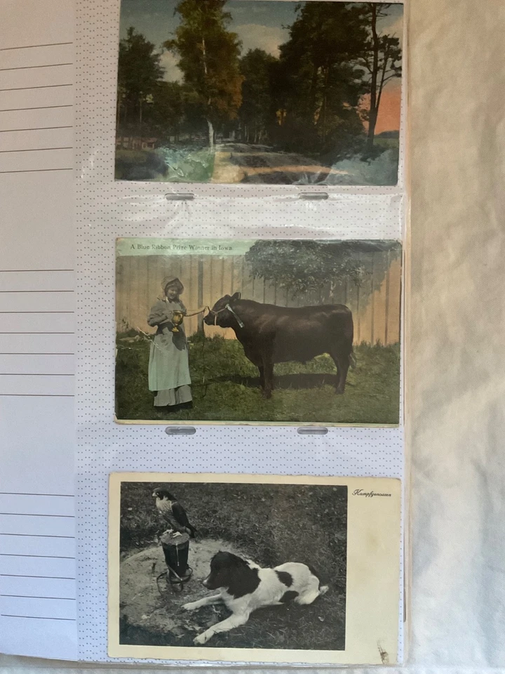 312 Ansichtskarten im Album , Kunst und Kitsch sowie Glückwunschkarten - Bild 4 von 4